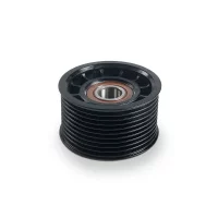 Auxiliary Tensioner (Idler)