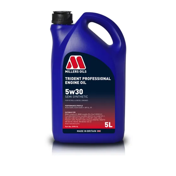 Trident Professional 5w30